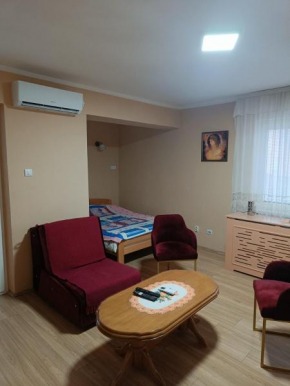 Apartman Putnik